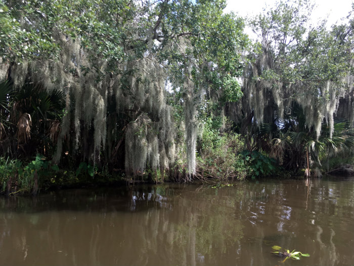 Airboat Adventures