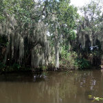 Airboat Adventures