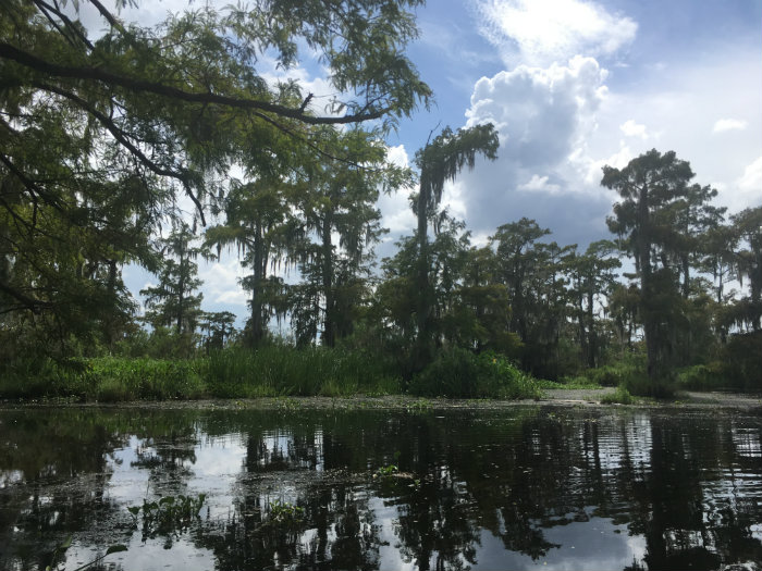 Airboat Adventures