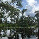 Airboat Adventures