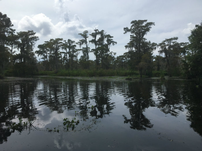 Airboat Adventures