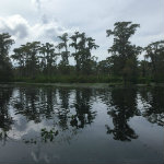 Airboat Adventures