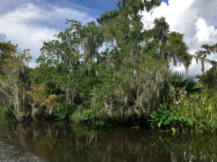 Airboat Adventures
