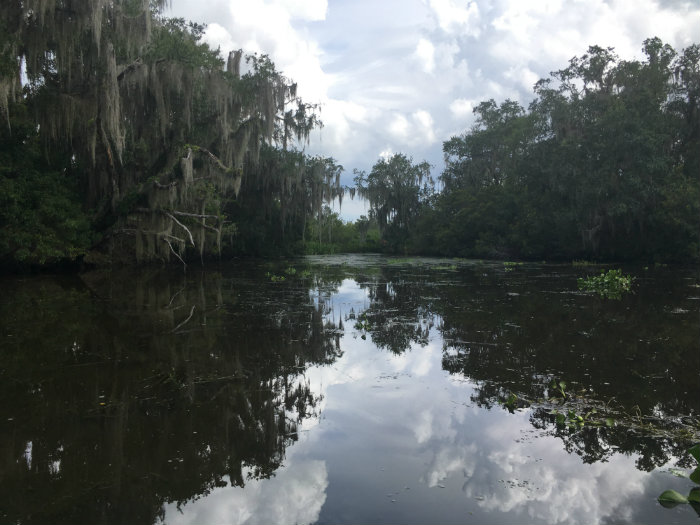 Airboat Adventures