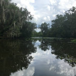 Airboat Adventures