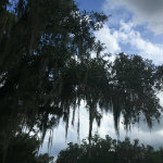 Airboat Adventures