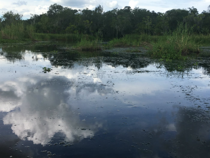 Airboat Adventures