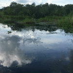 Airboat Adventures