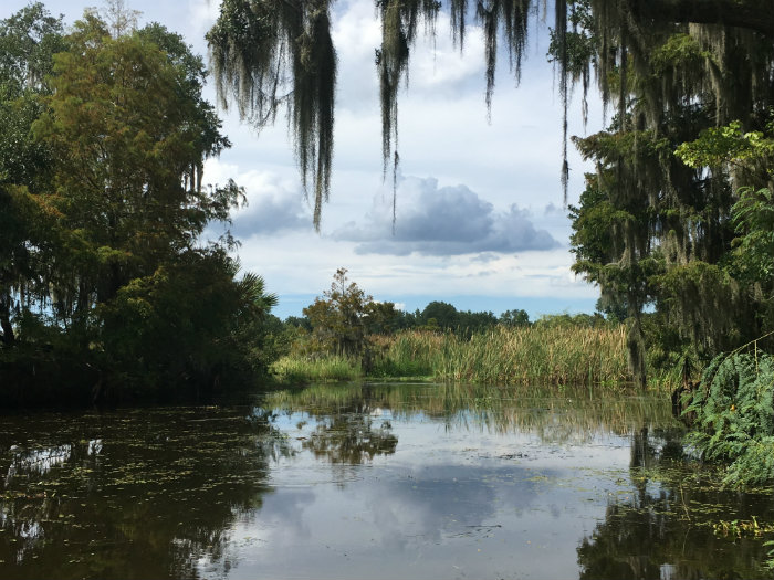 Airboat Adventures