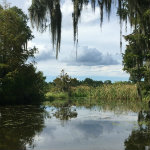 Airboat Adventures