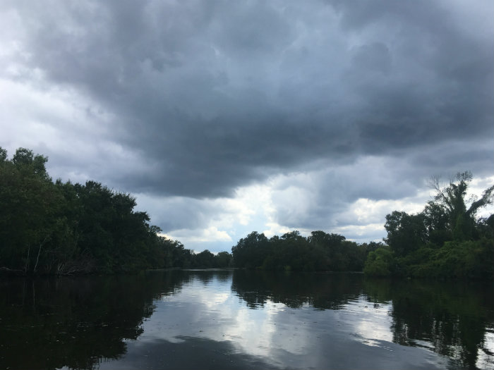 Airboat Adventures