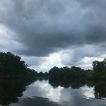 Airboat Adventures