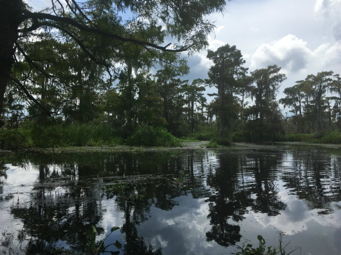 Airboat Adventures