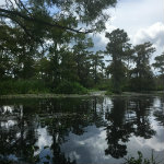 Airboat Adventures