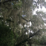 Airboat Adventures