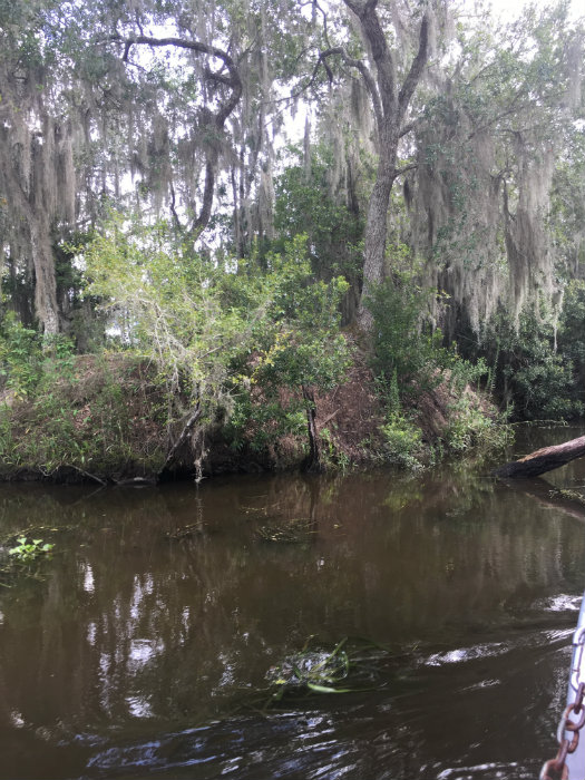 Airboat Adventures