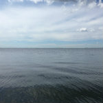 Airboat Adventures