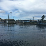 Airboat Adventures