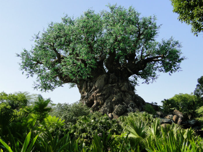 Animal Kingdom