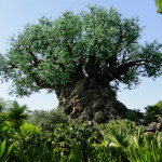 Animal Kingdom