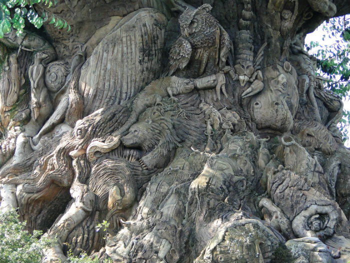 Animal Kingdom