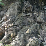 Animal Kingdom