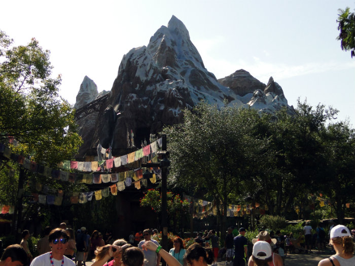Animal Kingdom