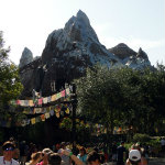 Animal Kingdom