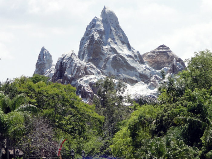 Animal Kingdom