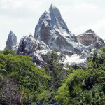 Animal Kingdom