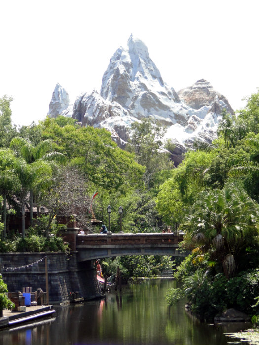 Animal Kingdom