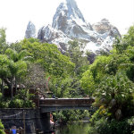 Animal Kingdom