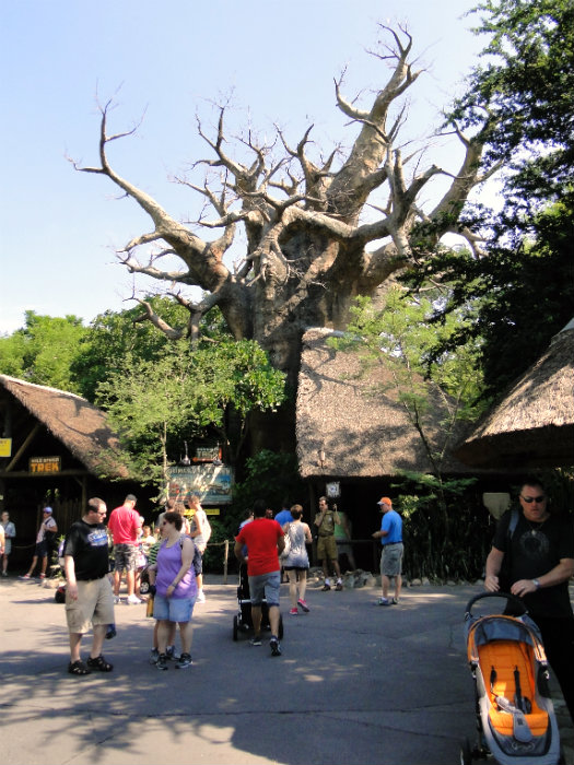 Animal Kingdom