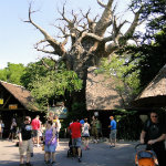 Animal Kingdom