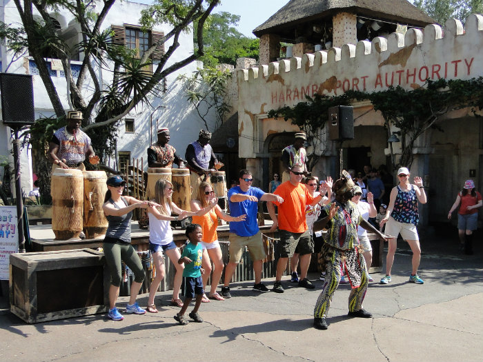 Animal Kingdom
