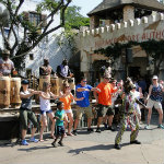 Animal Kingdom
