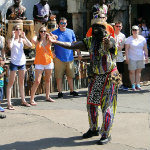Animal Kingdom