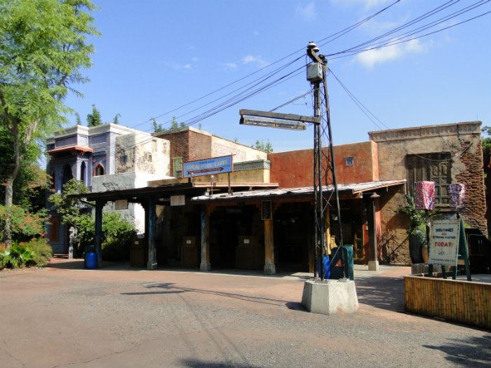 Animal Kingdom