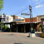 Animal Kingdom
