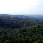 Ober Gatlinburg