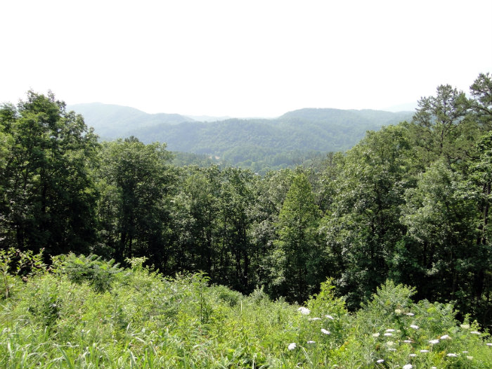 Foothills Parkway