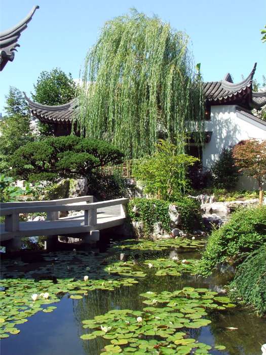 Chinese Garden