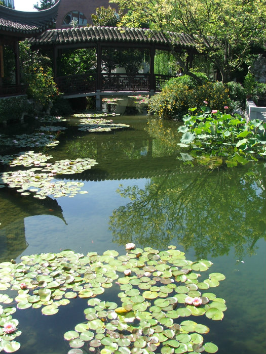 Chinese Garden