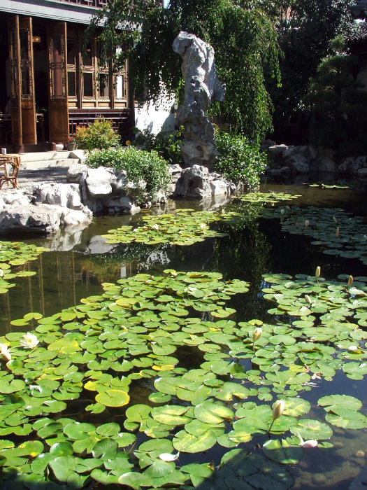 Chinese Garden