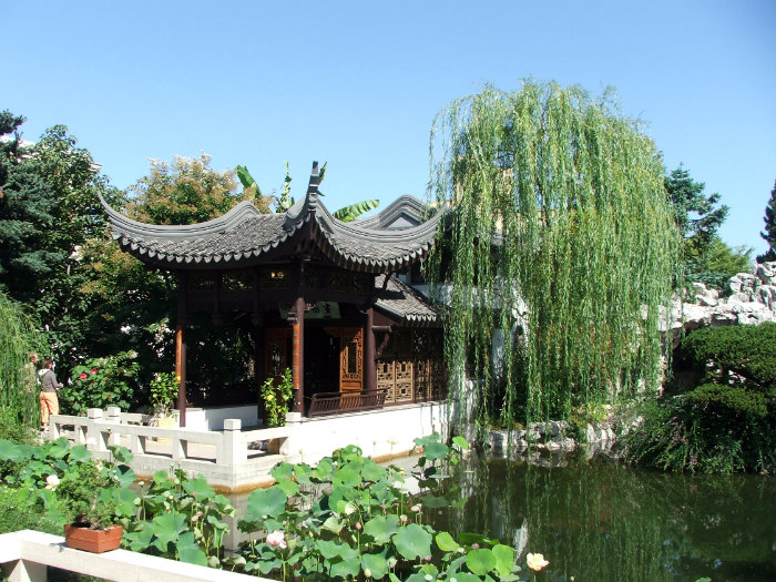 Chinese Garden