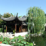 Chinese Garden