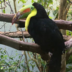 National Aviary