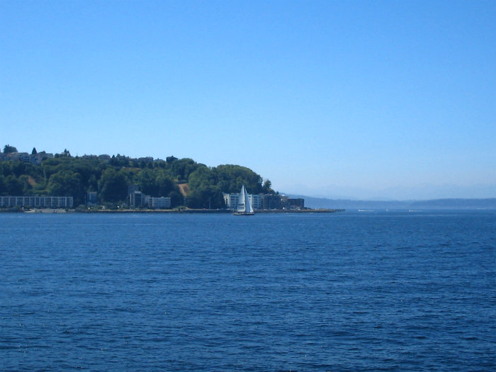 Harbor Cruise