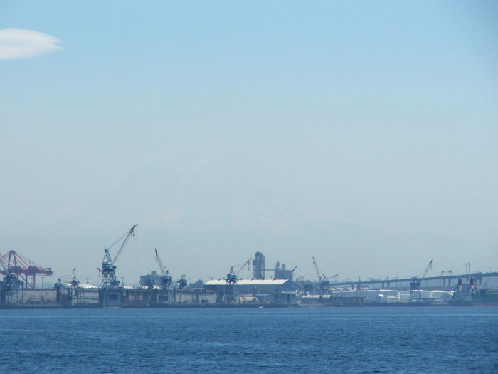 Harbor Cruise