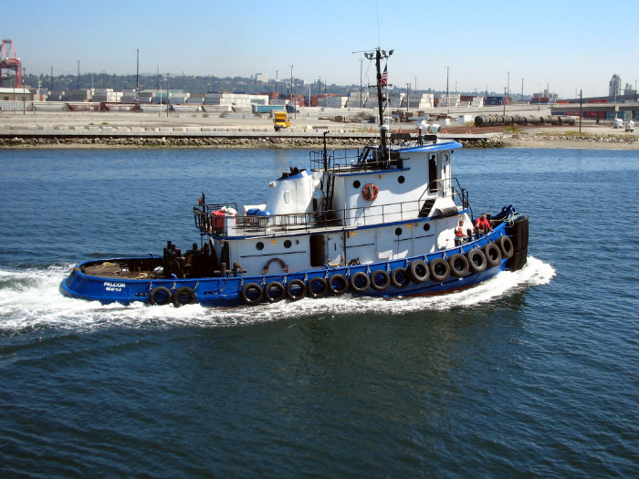 Harbor Cruise